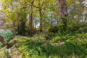 Photo 11- click for photo gallery